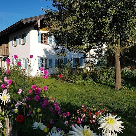 Ferienwohnung Hofen 5 Peiting Exteriör bild