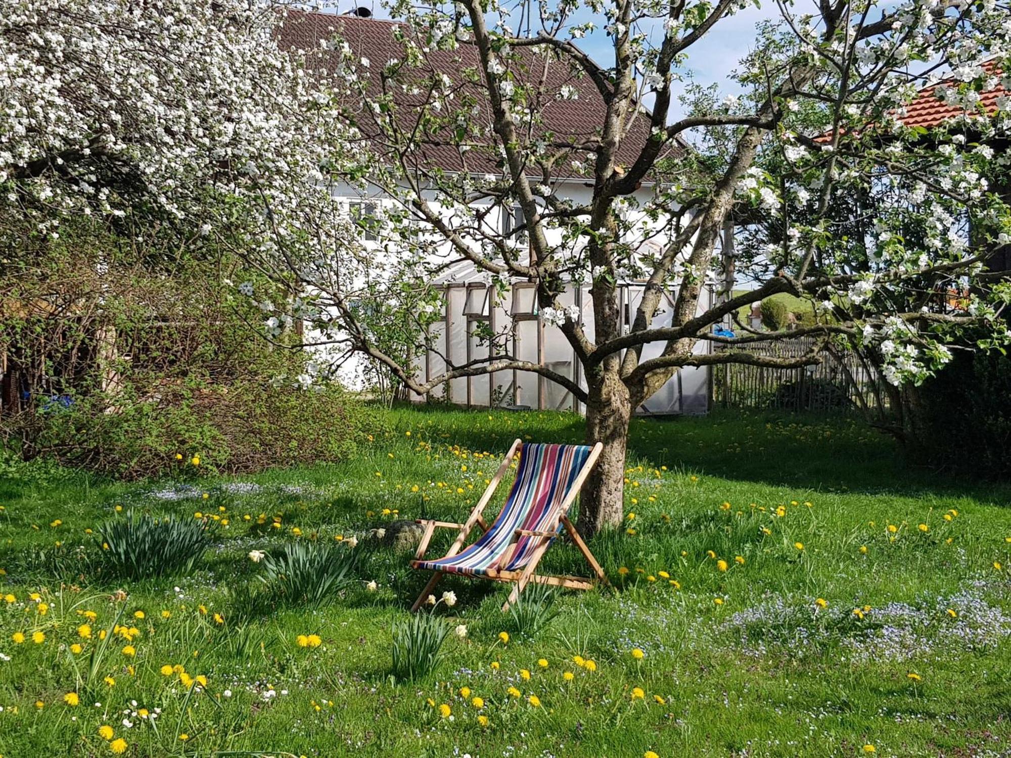 Ferienwohnung Hofen 5 Peiting Exteriör bild